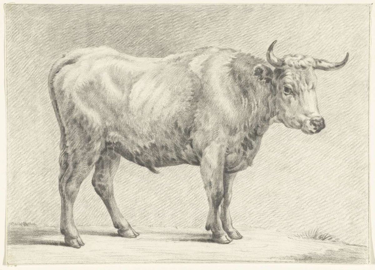 Standing bull, to the right, Jean Bernard, 1775 - 1833