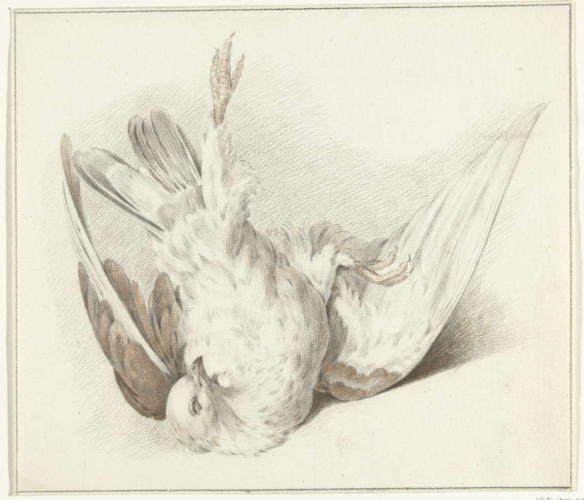 Dode duif, Jean Bernard, 1775 - 1833