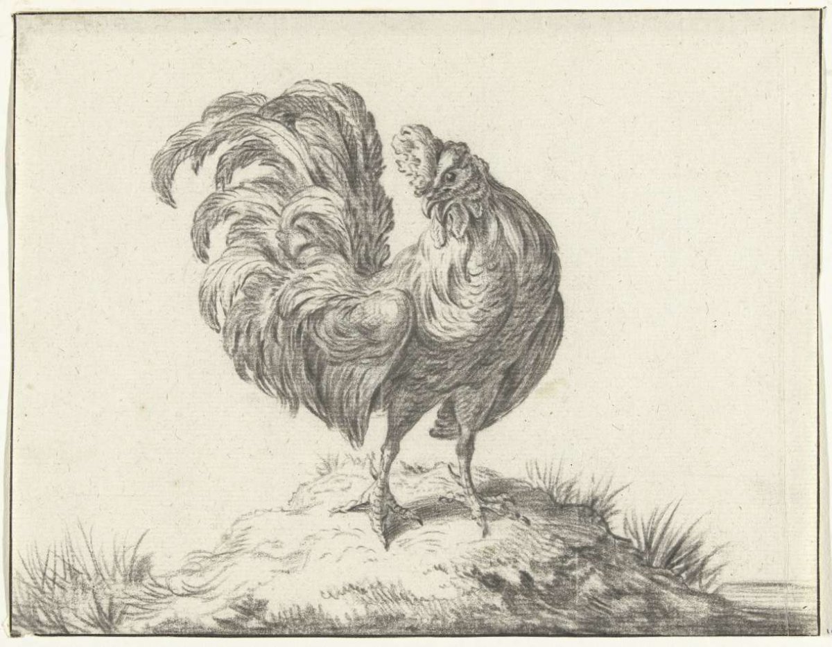 Chicken, standing on a knoll, Jean Bernard, 1775 - 1833
