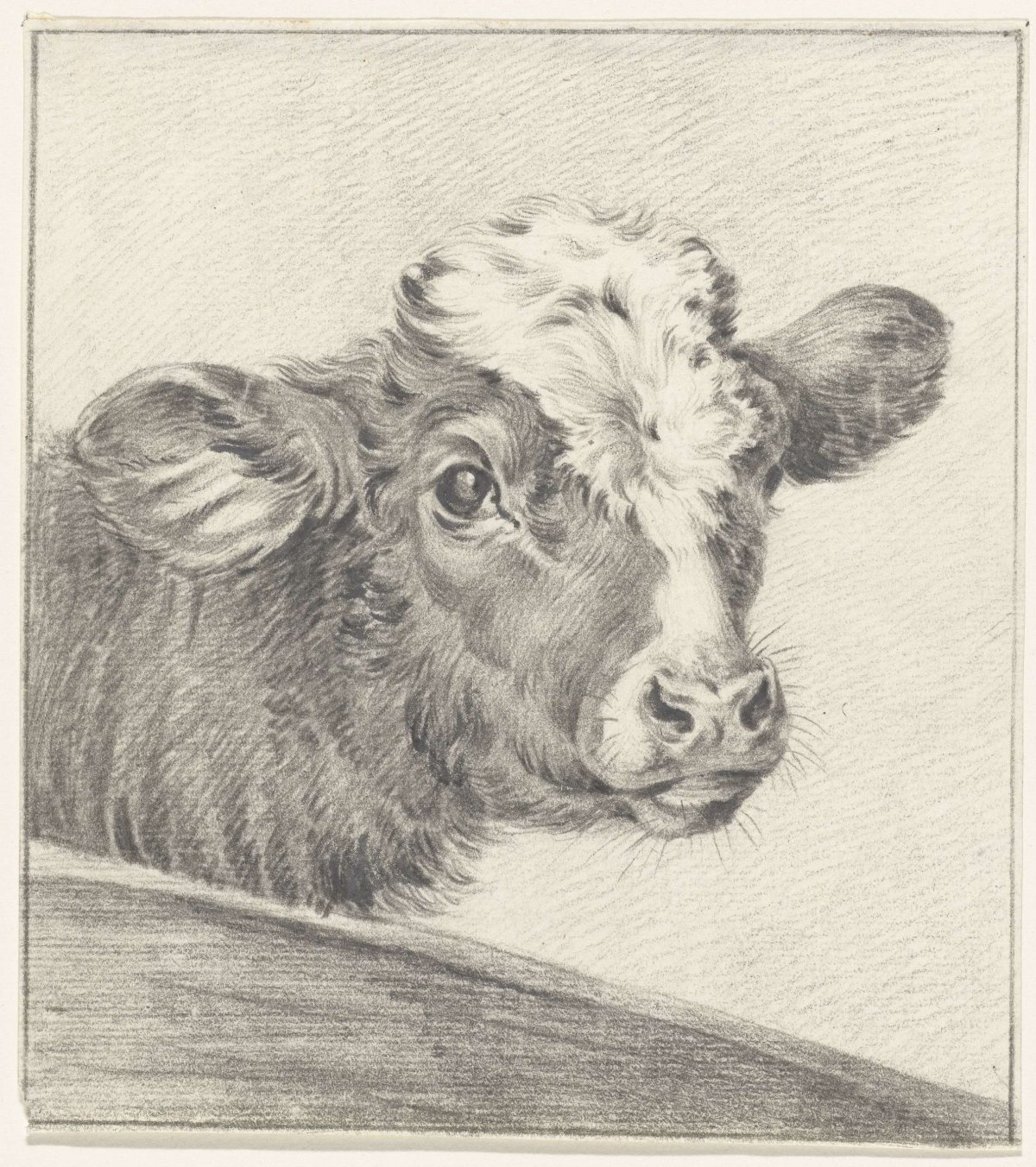 Head of a cow, Jean Bernard, 1775 - 1833
