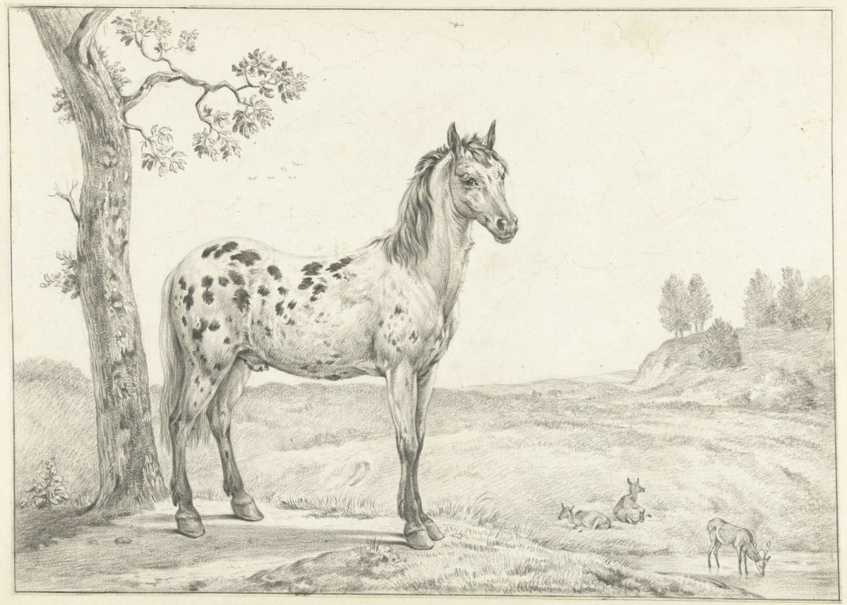 Standing spotted horse, to the right, in a landscape, Jean Bernard, 1775 - 1833