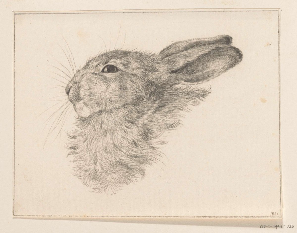 Head of a rabbit, Jean Bernard, 1821