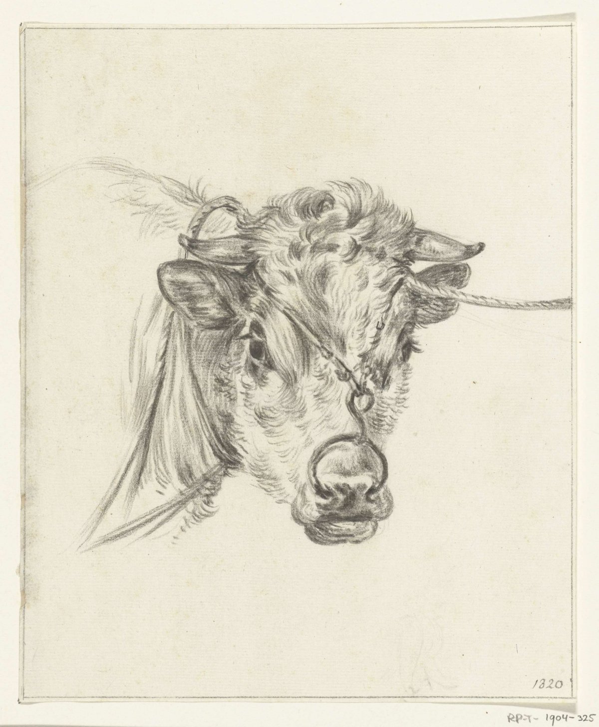 Head of a cow, with a ring through the nose, Jean Bernard, 1820