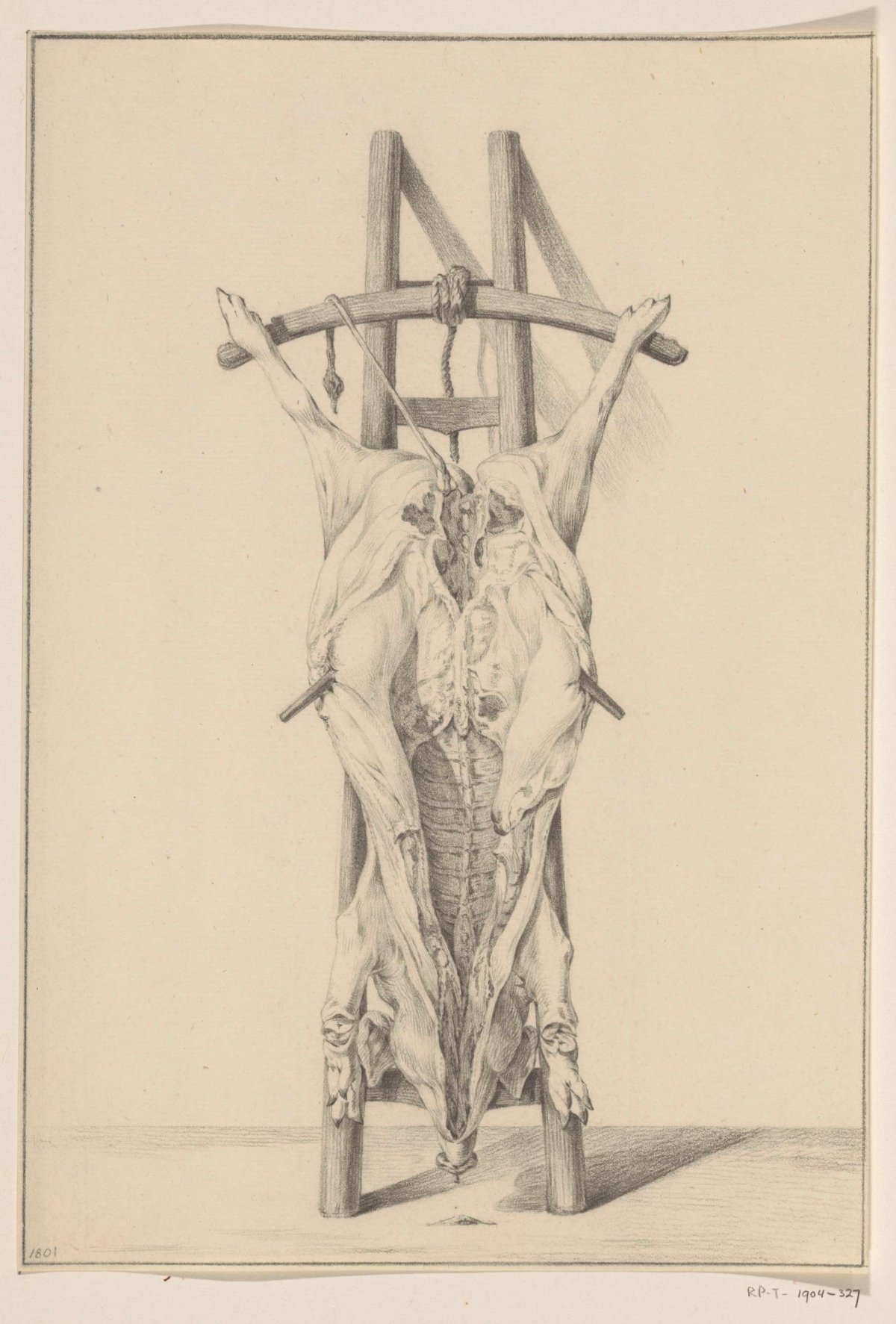 Geslacht varken, Jean Bernard, 1801