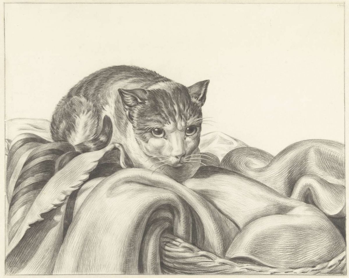 Cat, sitting in a basket, Jean Bernard, 1802