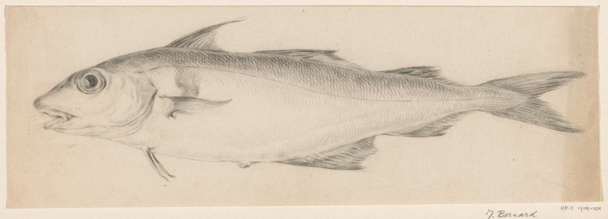 Fish, to the left, Jean Bernard, 1775 - 1833
