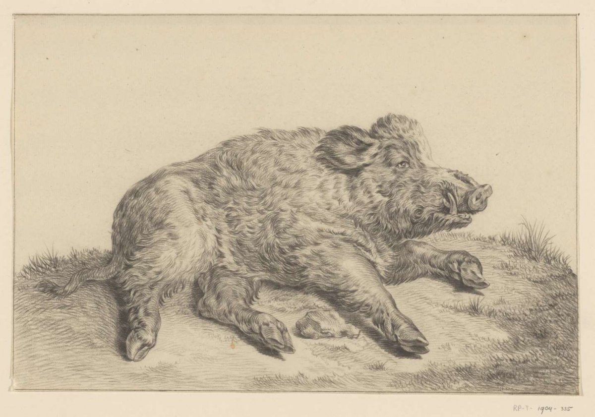 Liggend wild zwijn, Jean Bernard, 1775 - 1833