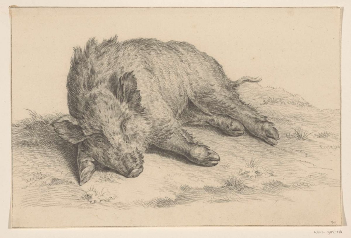 Liggend wild zwijn, Jean Bernard, 1801