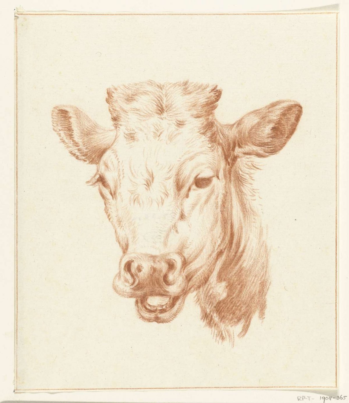 Head of a cow, from the front, Jean Bernard, 1775 - 1833