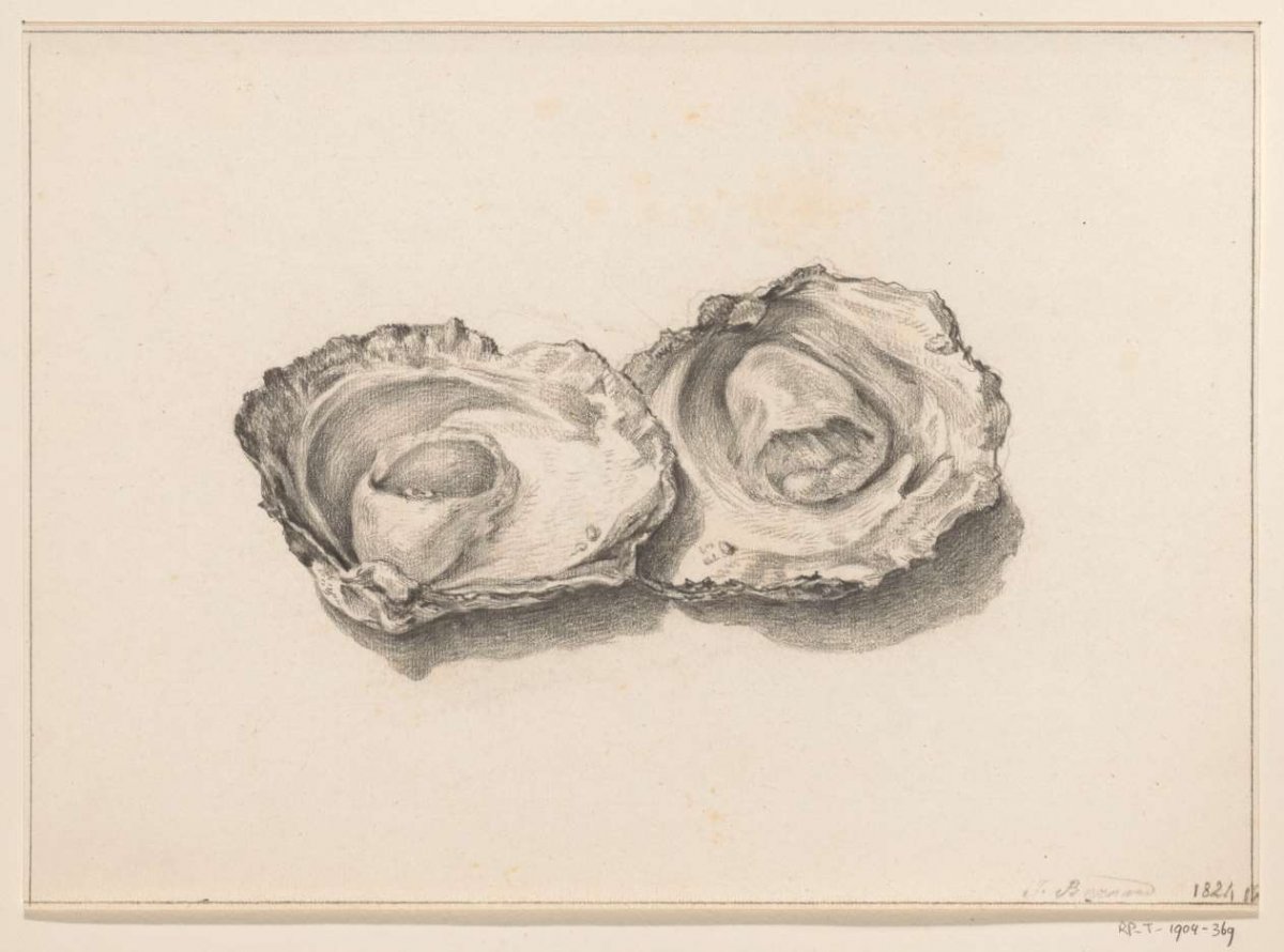 Two opened oysters, Jean Bernard, 1824