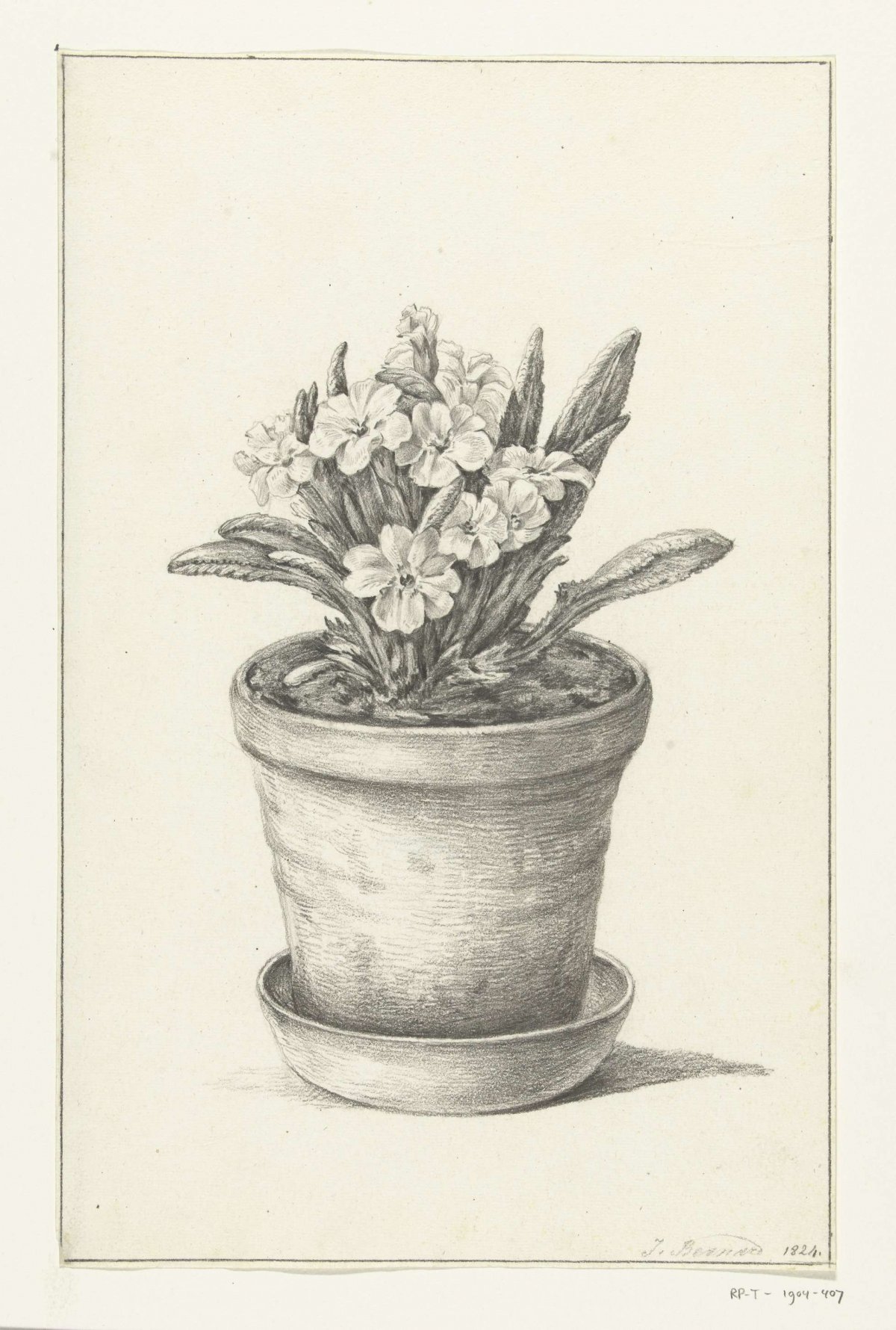 Potplant, Jean Bernard, 1824