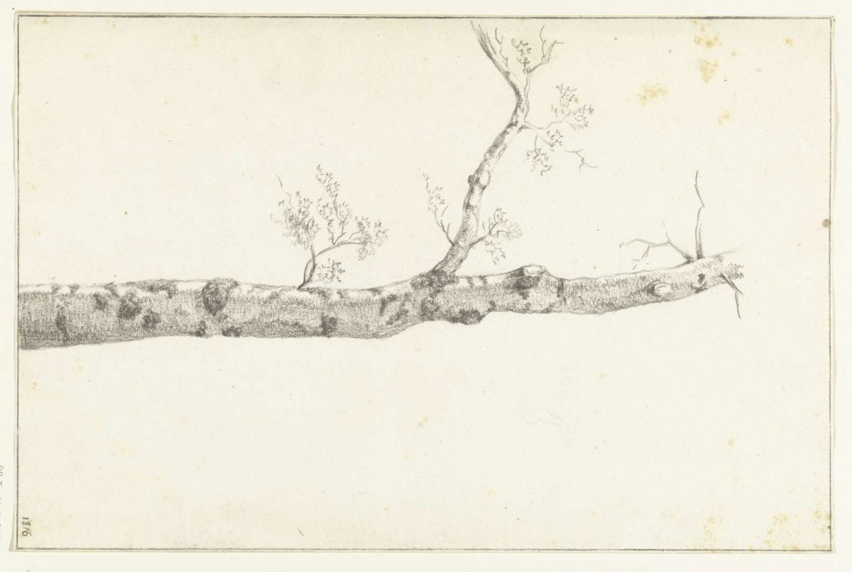 Study of a tree, Jean Bernard, 1816