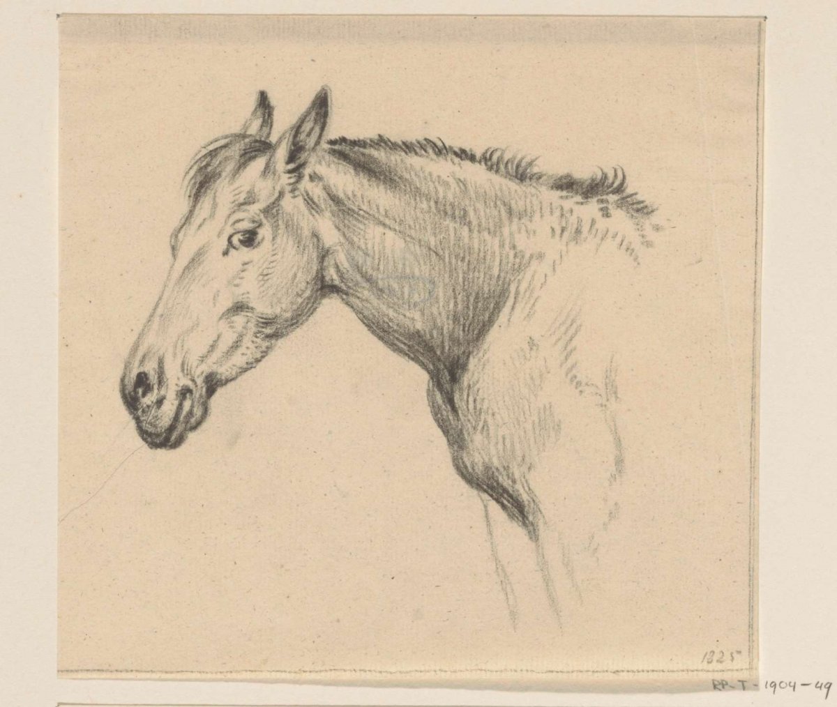 Head of a horse, to the left, Jean Bernard, 1825