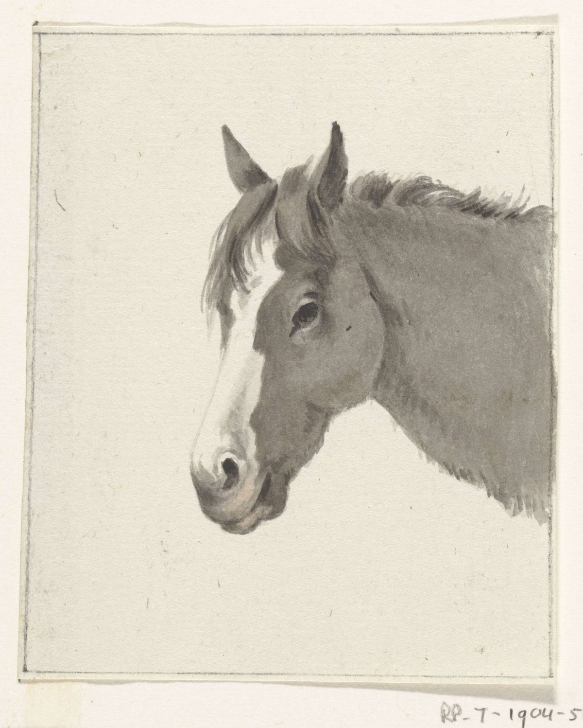 Head of a horse, Jean Bernard, 1775 - 1833