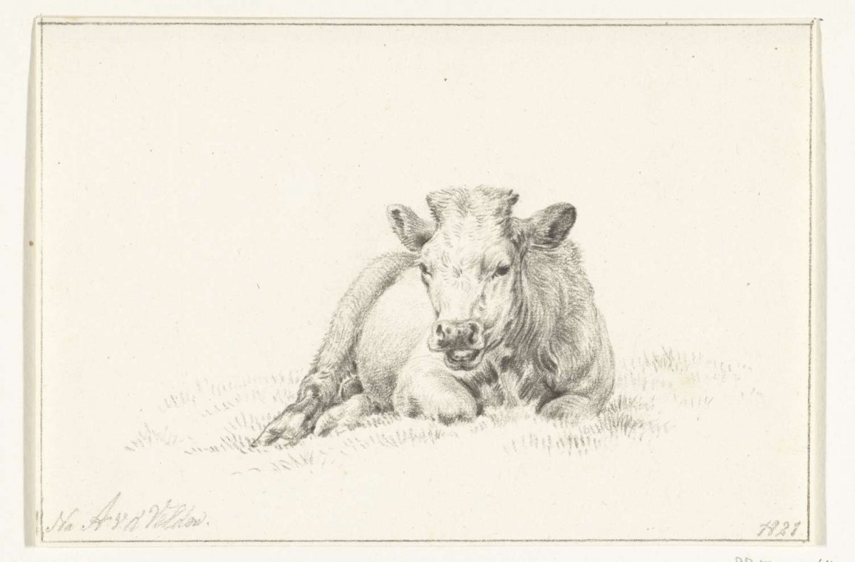 Reclining cow, from the front, Jean Bernard, 1821