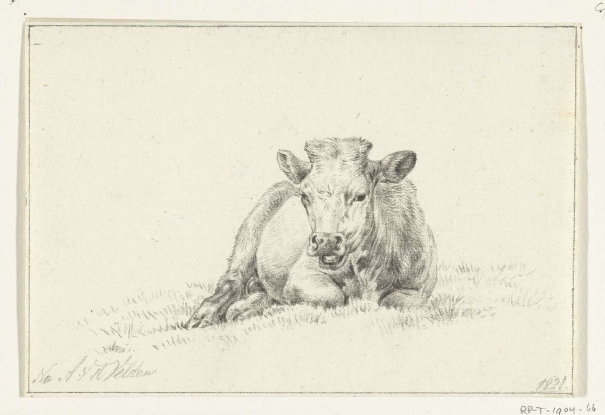 Reclining cow, from the front, Jean Bernard, 1821