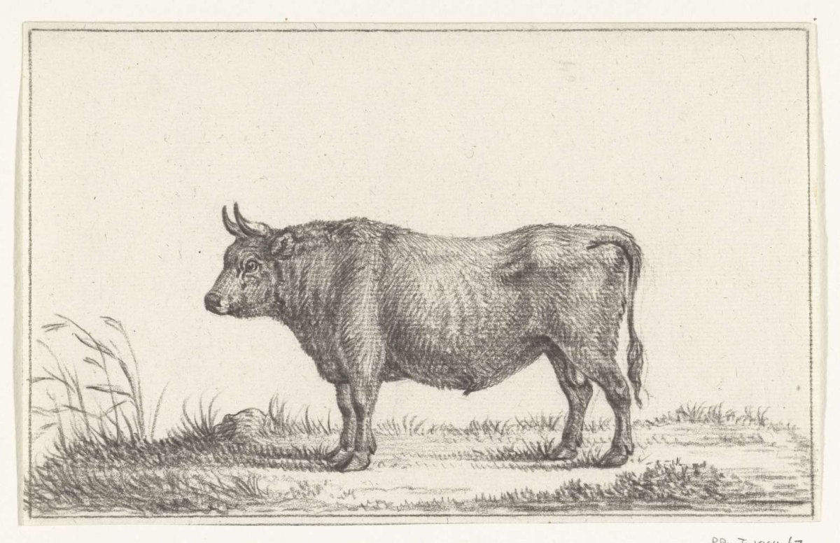 Standing bull, to the left, Jean Bernard, 1775 - 1833