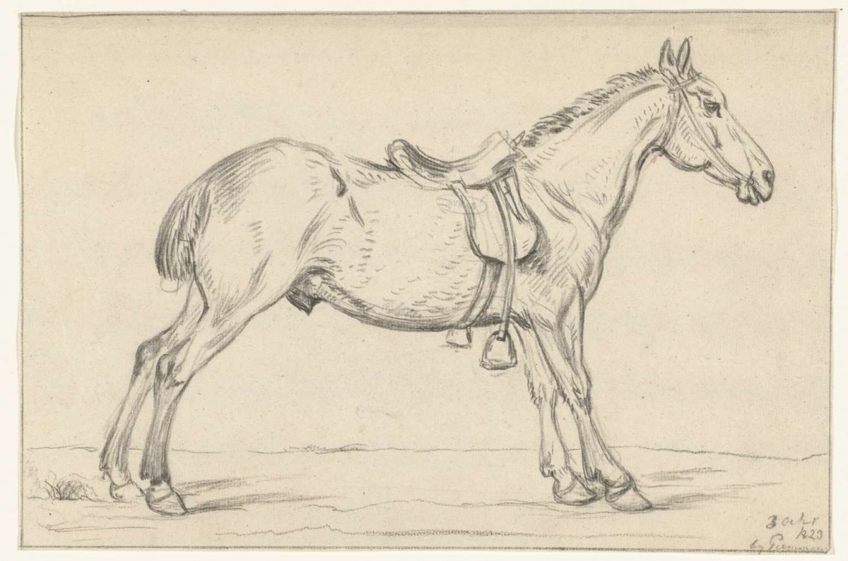 Saddled horse, to the right, Jean Bernard, 1823