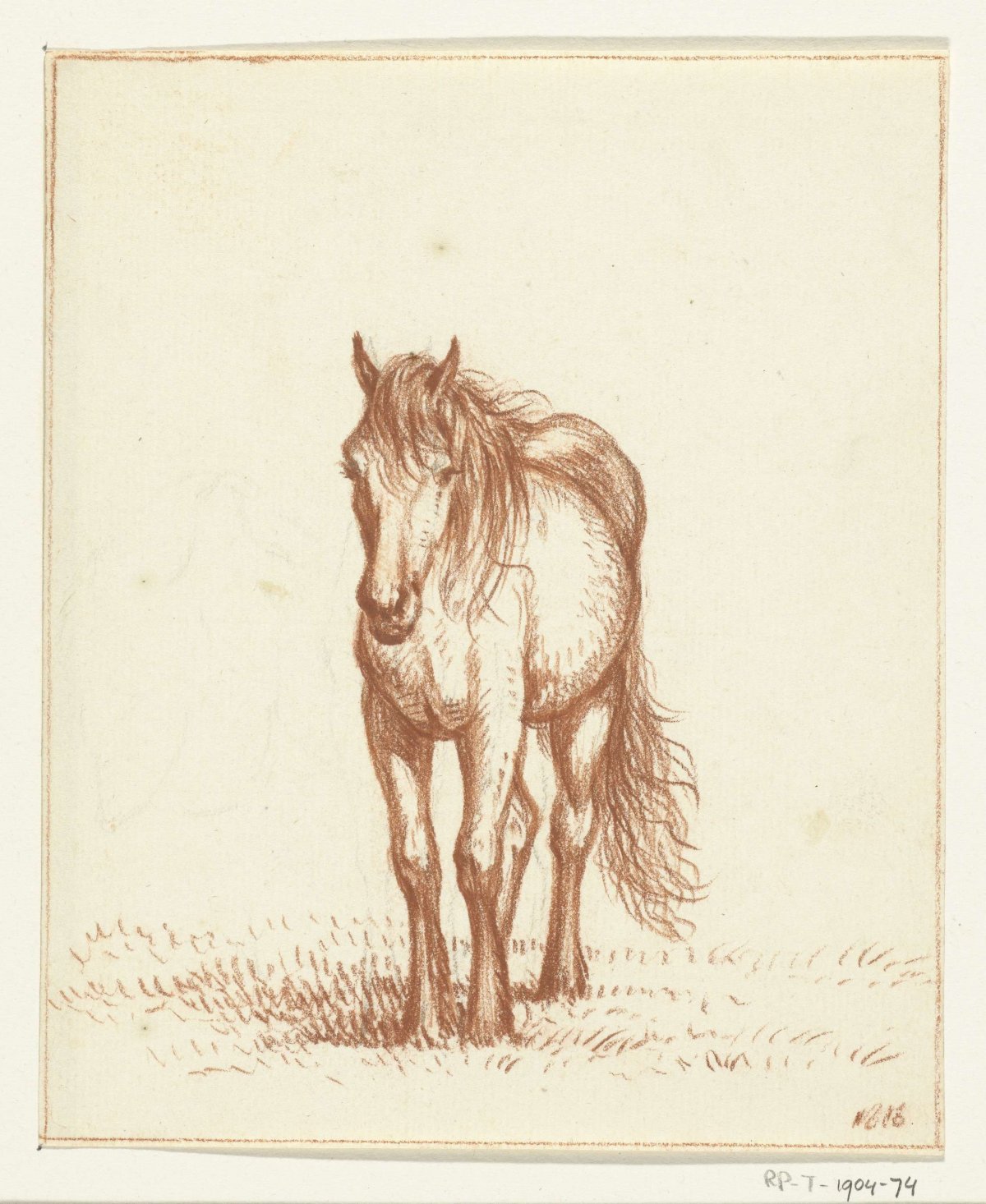 Standing horse, from the front, Jean Bernard, 1816