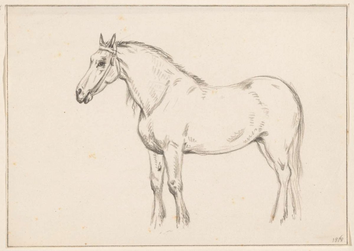 Standing horse, to the left, Jean Bernard, 1818