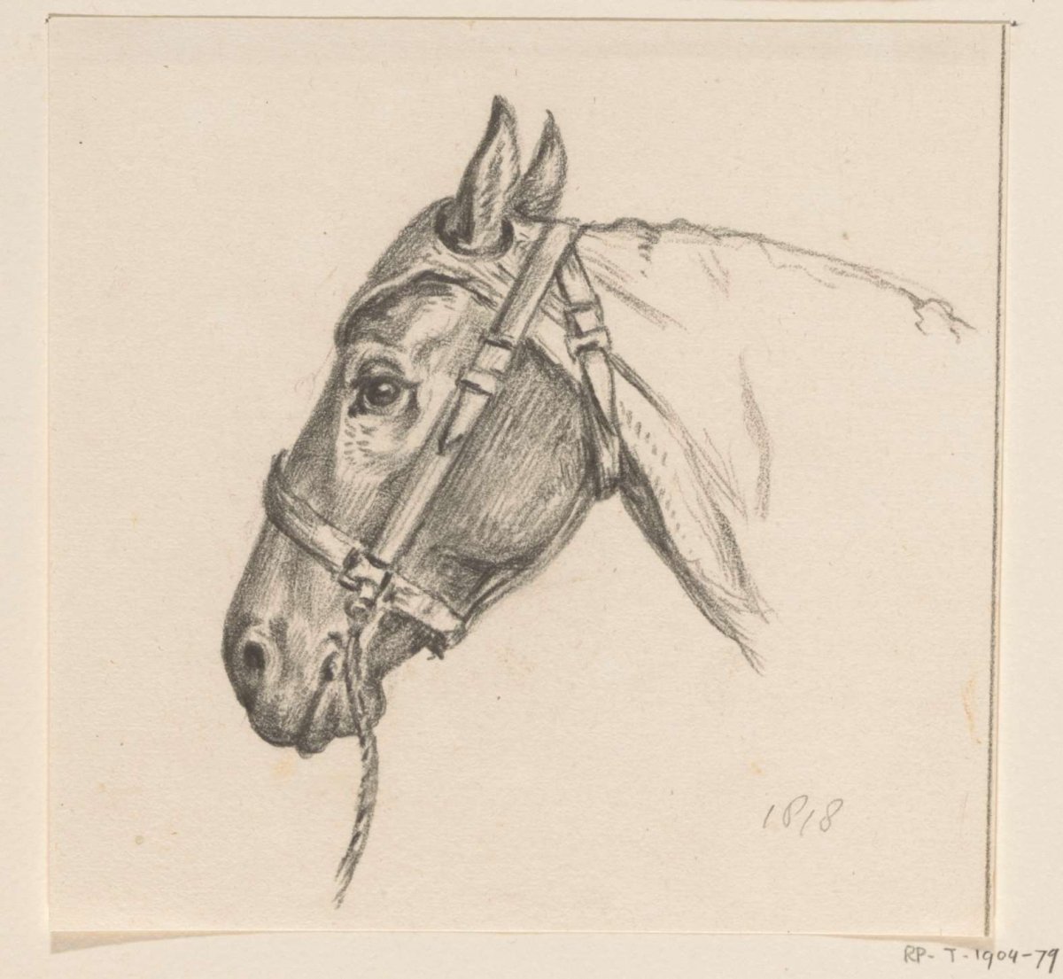 Head of a hooded horse, to the left, Jean Bernard, 1818