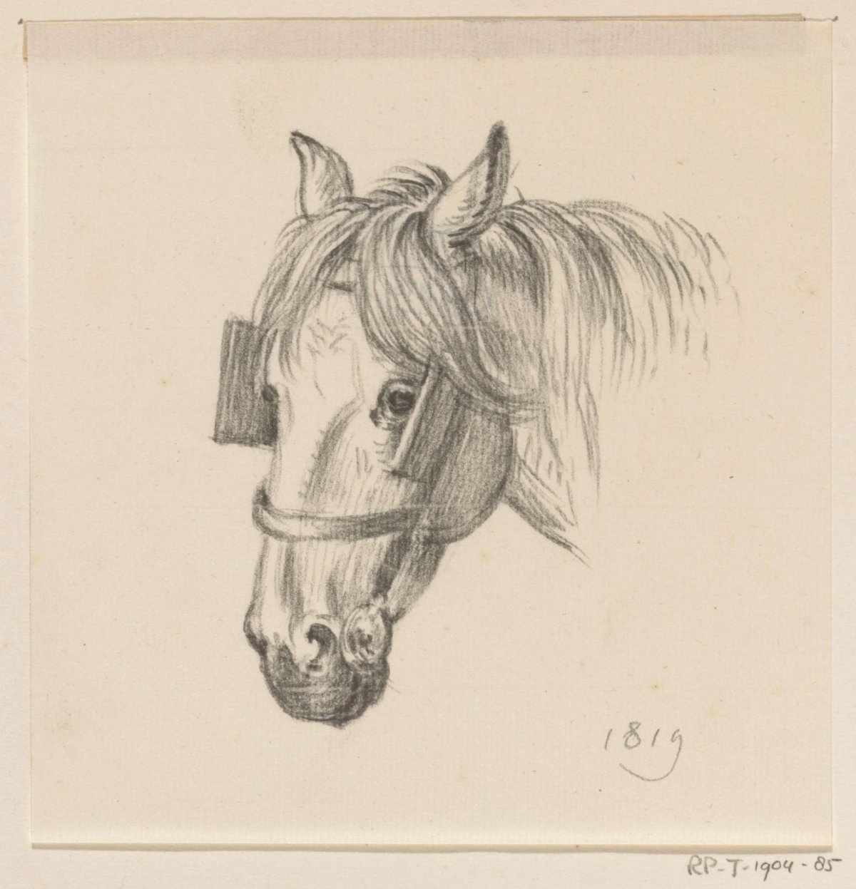 Head of a horse with blinkers, to the left, Jean Bernard, 1819