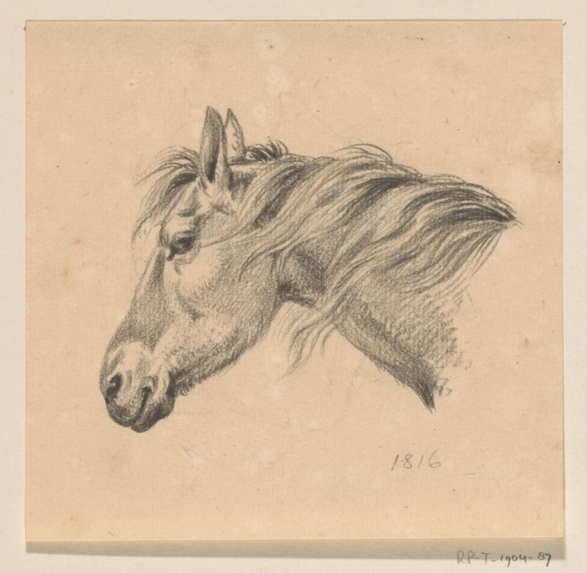 Head of a horse, to the left, Jean Bernard, 1816