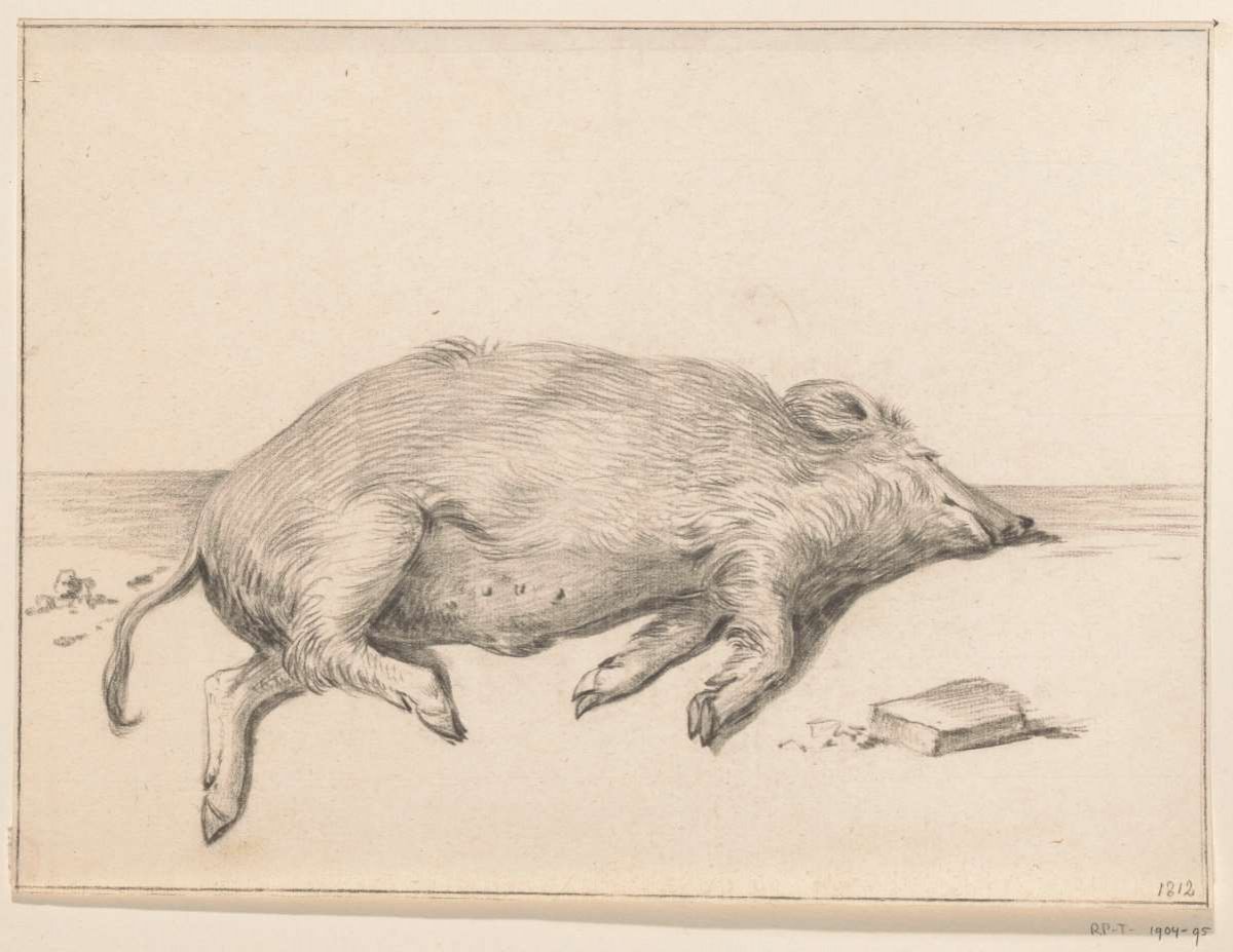 Reclining pig, to the right, Jean Bernard, 1812
