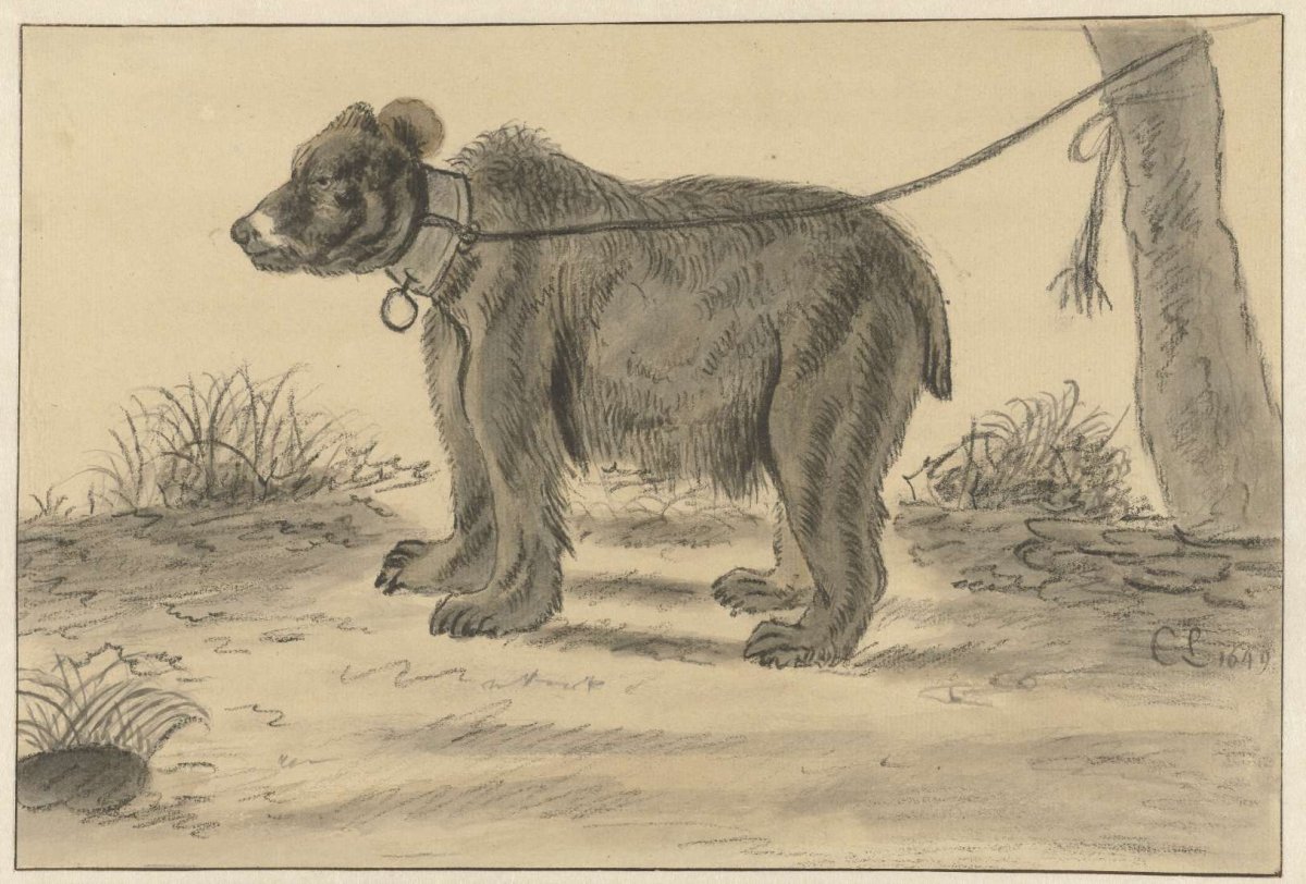 Bear tied to a tree, Cornelis Saftleven, 1649