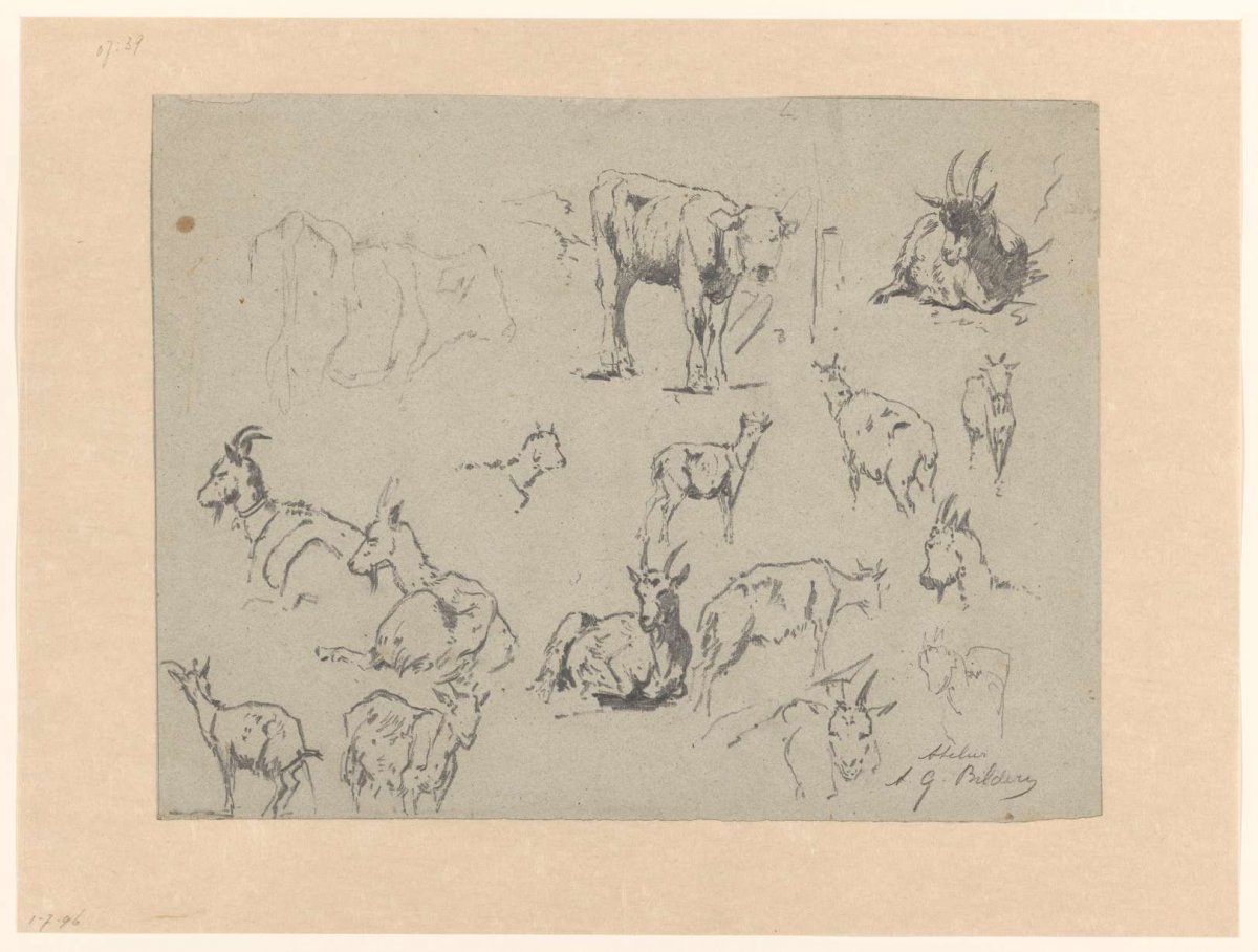 Sketch sheet with studies of goats and two cows, Gerard Bilders, 1848 - 1865