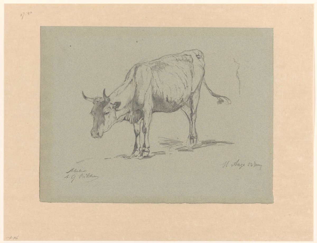 Study of a cow, Gerard Bilders, 1848 - 1865