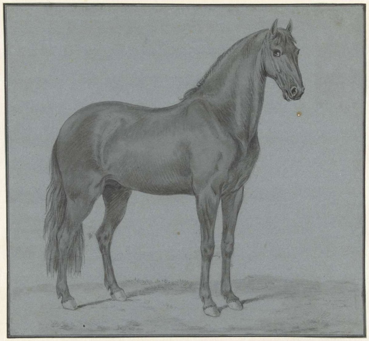 Monsieur de Guille's horse, Tethart Philip Christian Haag, 1747 - 1812