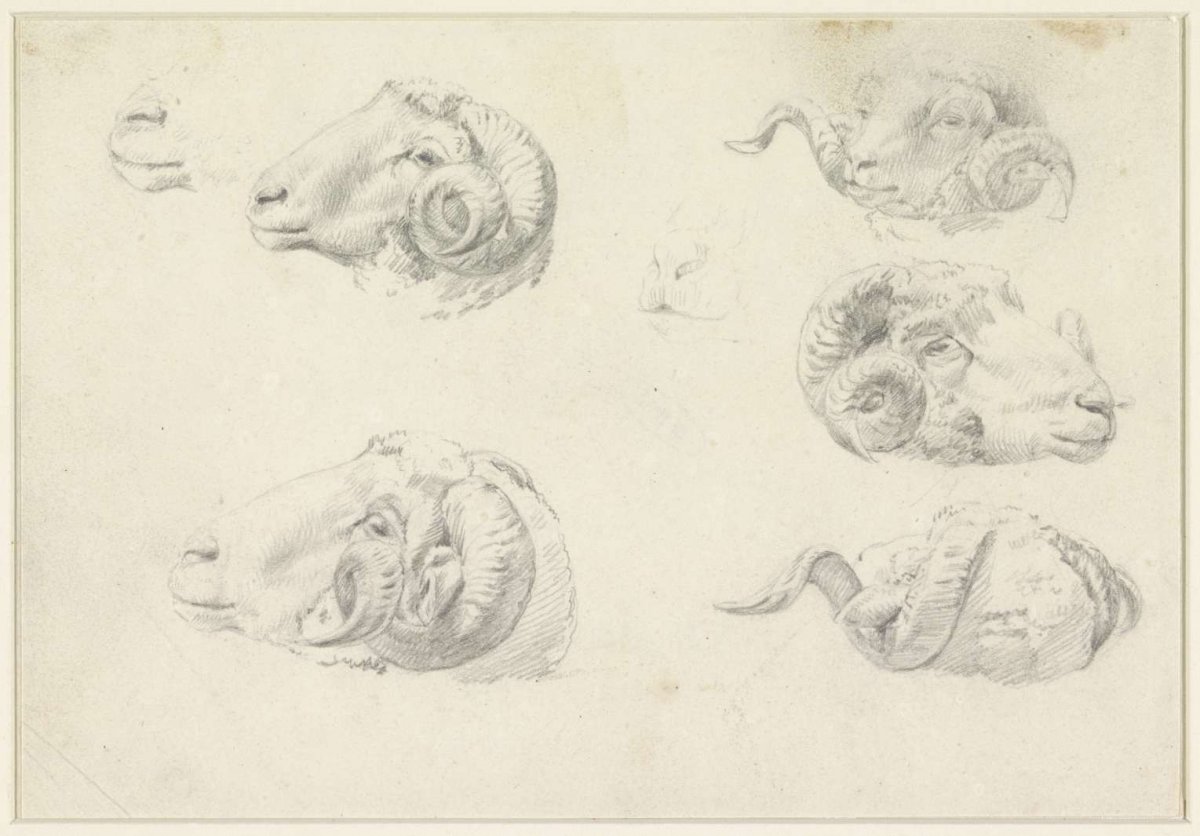 Five studies of ram heads, Hendrik Jozef Franciscus van der Poorten, 1840