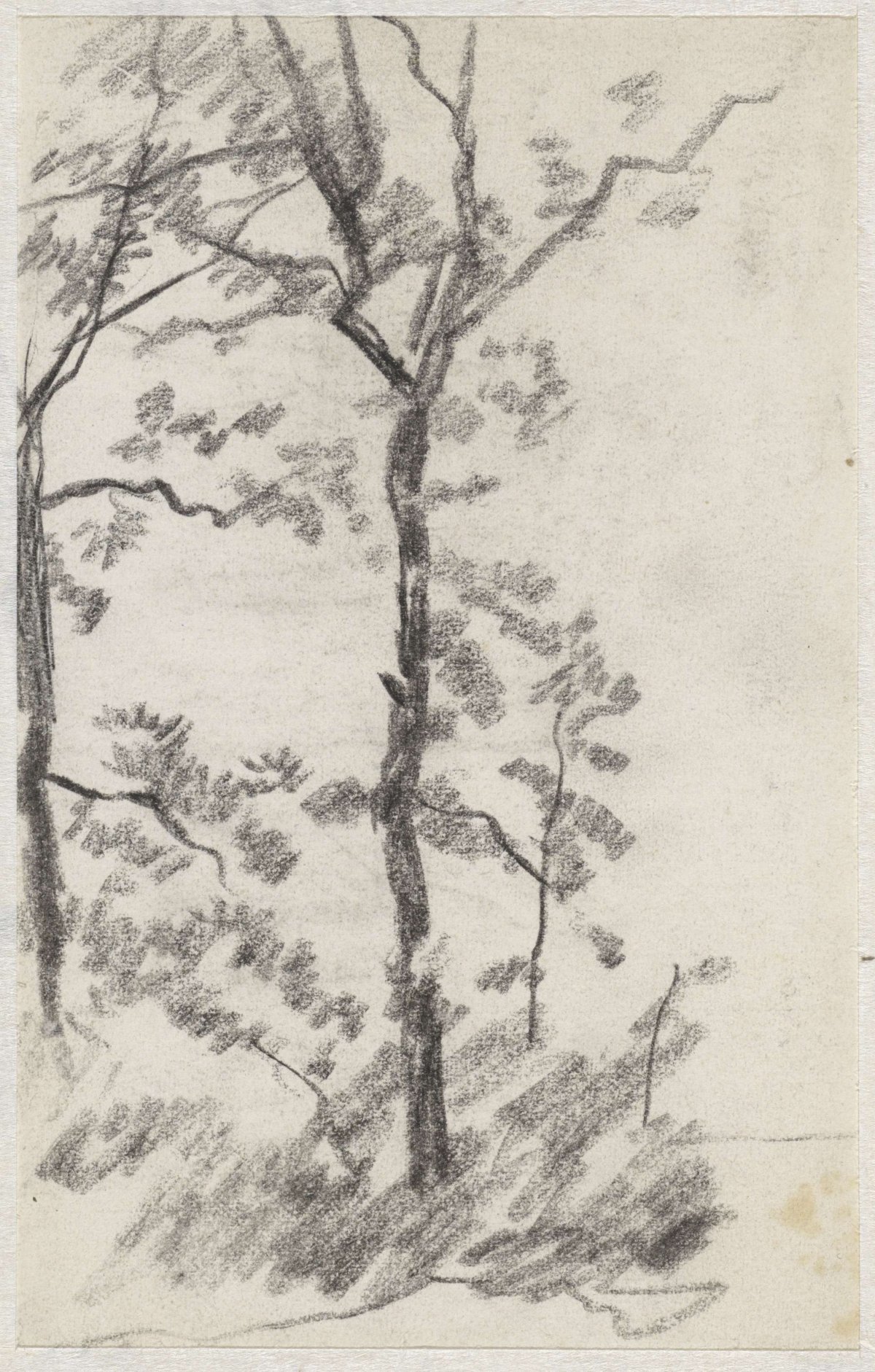 Tree study, Anton Mauve, 1848 - 1888