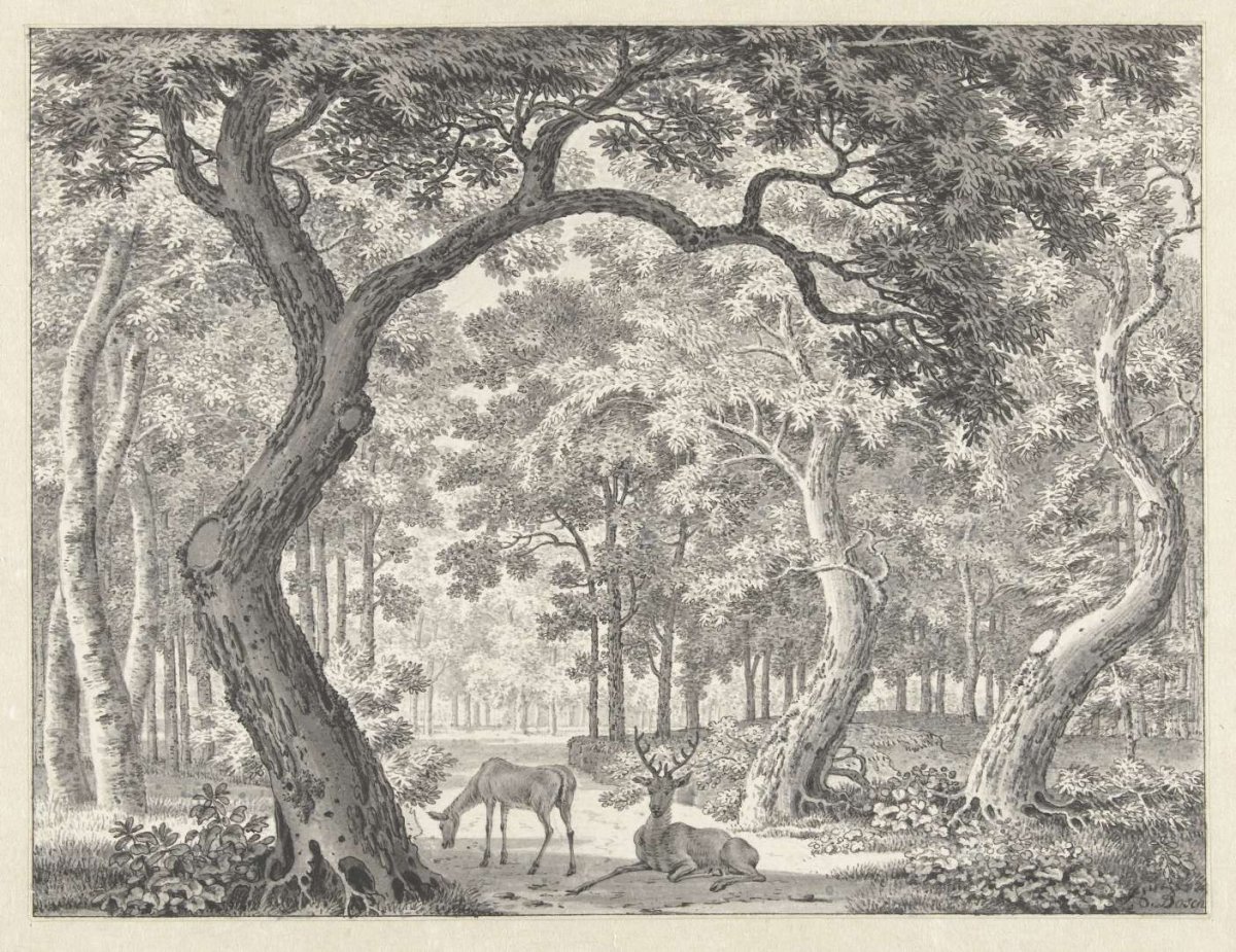 Forest view with two deer, Johannes de Bosch, 1760