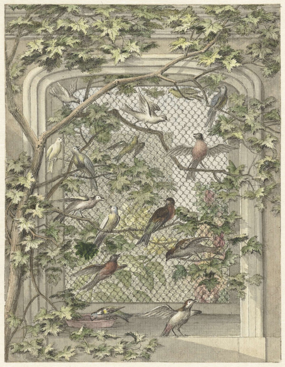 Aviary with fourteen birds, Aert Schouman, 1720 - 1792