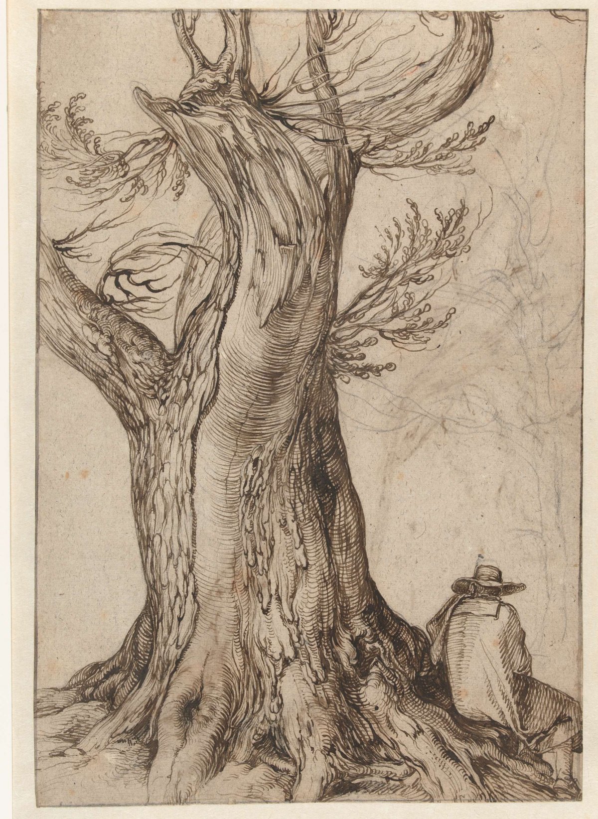 Study of a tree trunk, Jacques de Gheyn (II), 1598 - 1608