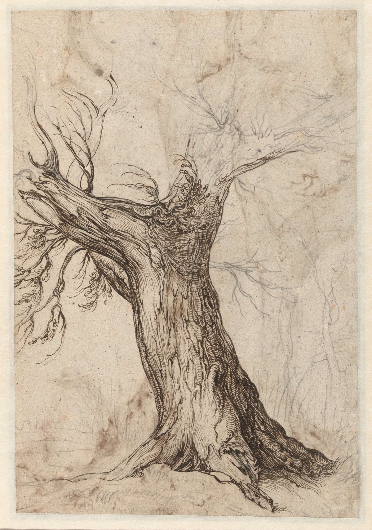 Chestnut tree with some trees around it, Jacques de Gheyn (II), 1598 - 1608