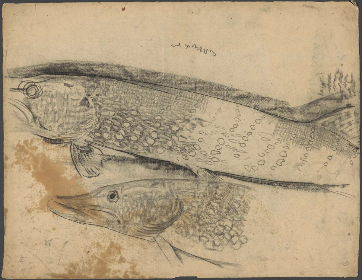 Two fish: Pike, Gerrit Willem Dijsselhof, c. 1876 - c. 1924
