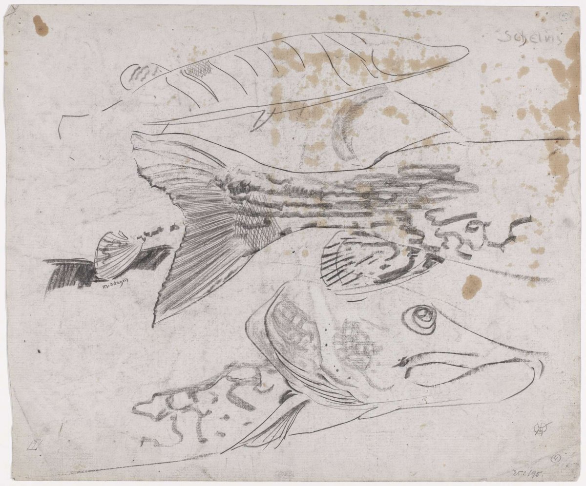 Sketch sheet with studies of a pike, Gerrit Willem Dijsselhof, 1876 - 1924