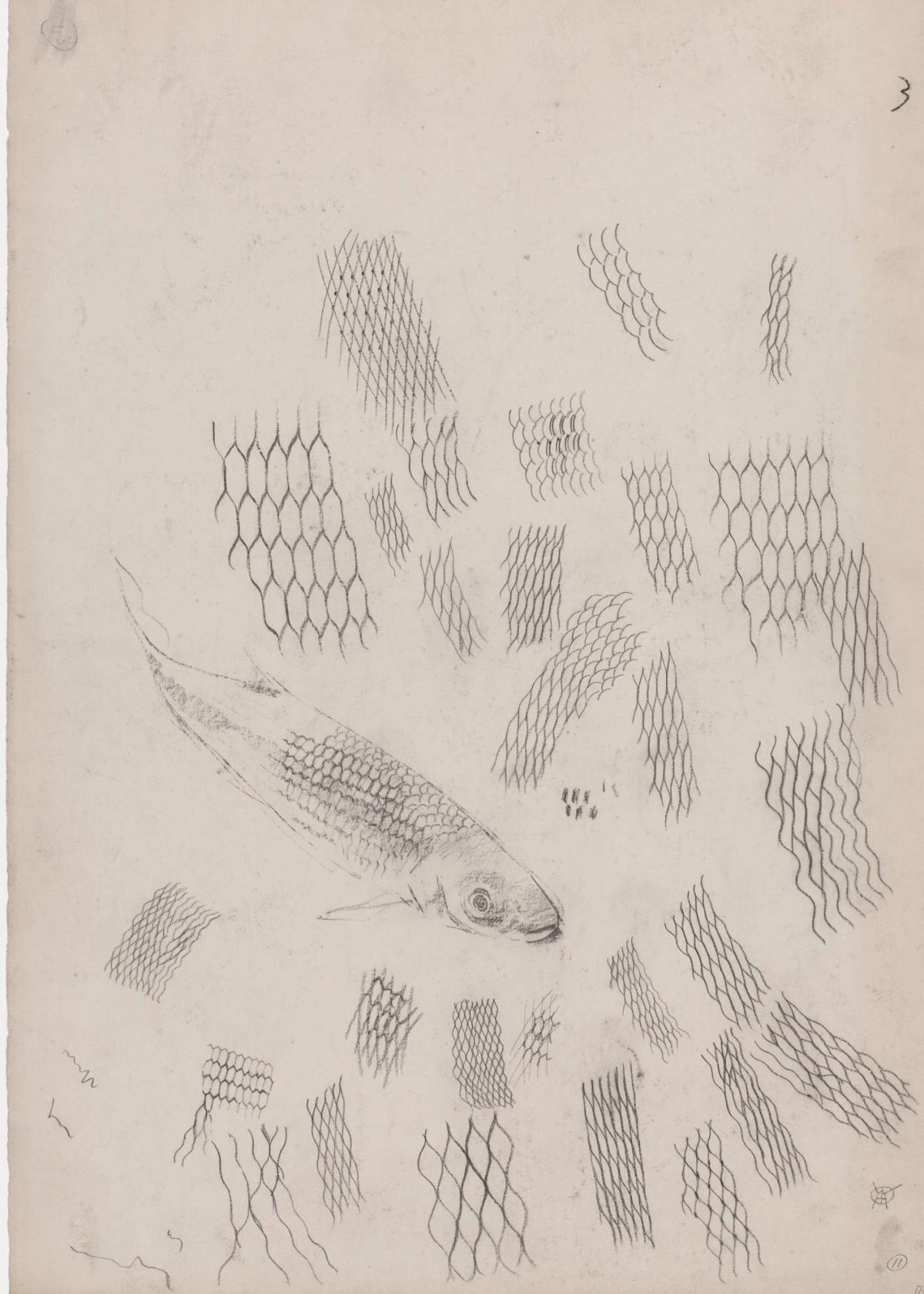 Sketch sheet with studies of gold winds and scales study, Gerrit Willem Dijsselhof, 1876 - 1924
