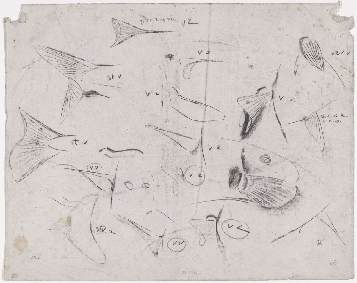 Sketch sheet with various fish, studies of fins and tails, Gerrit Willem Dijsselhof, 1876 - 1924