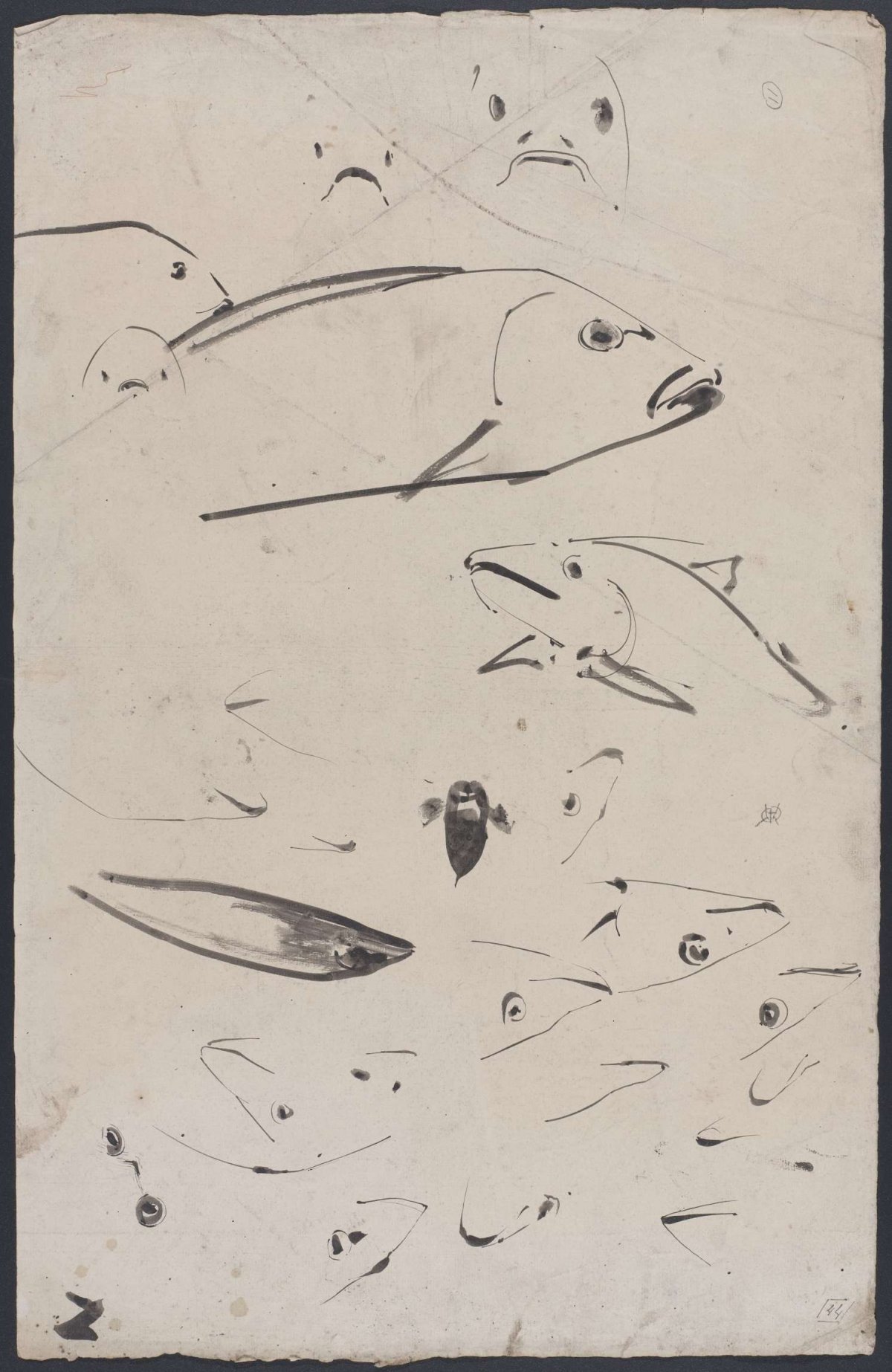 Sketch of fish, Gerrit Willem Dijsselhof, 1876 - 1924