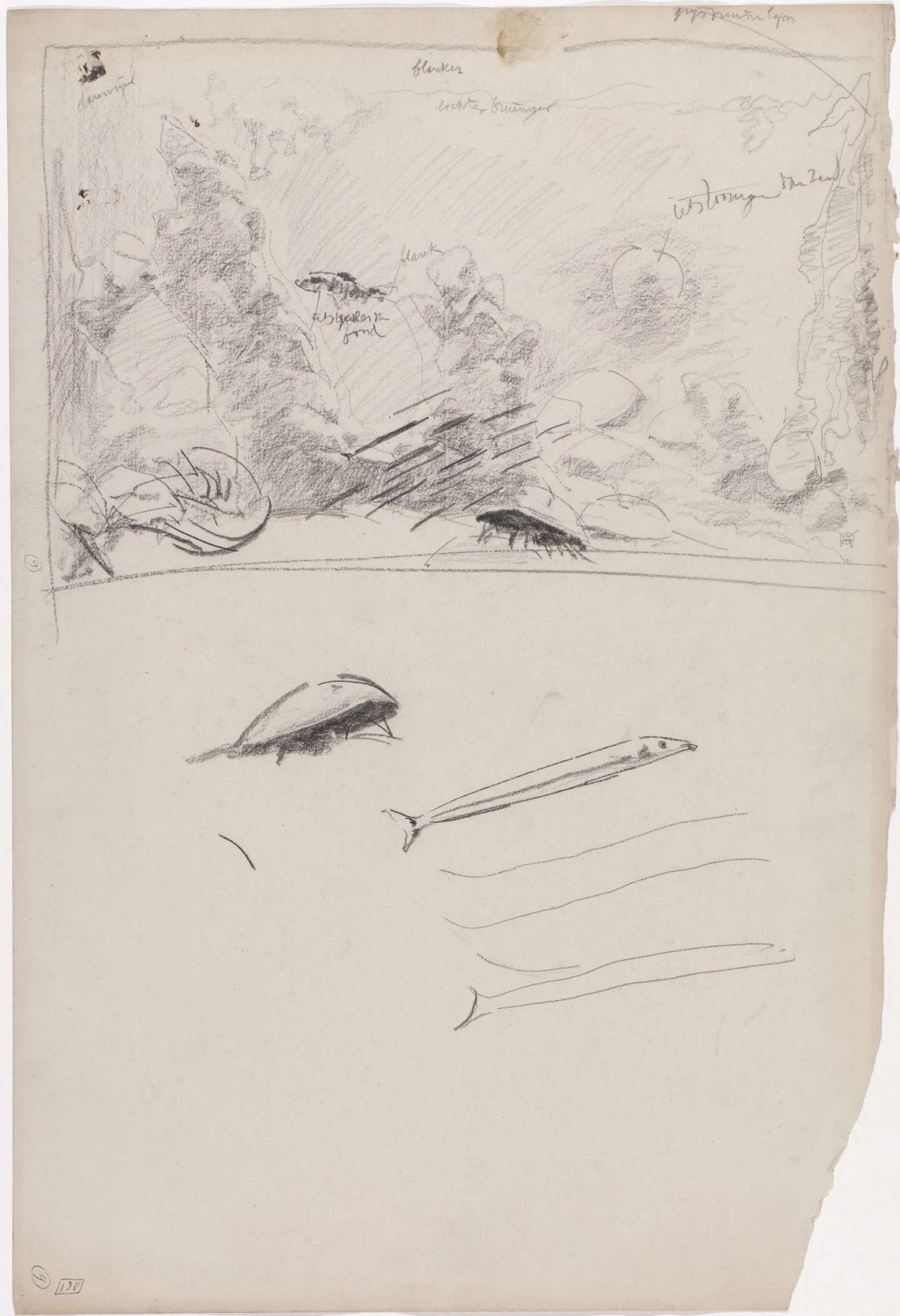 Sketch of an aquarium with fish, Gerrit Willem Dijsselhof, 1876 - 1924