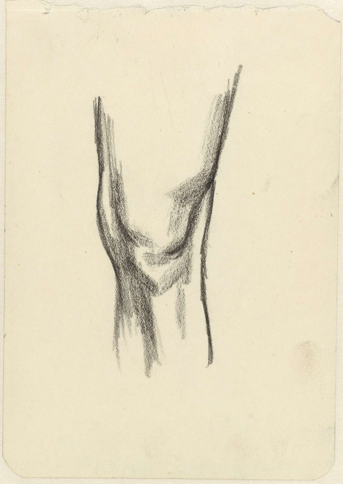 Study of a knee, Jan Toorop, 1868 - 1928