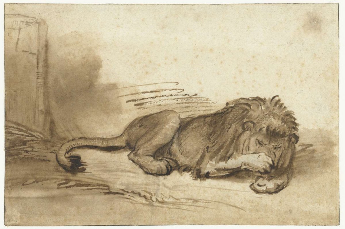 Reclining Lion with its Forepaw over its Muzzle, Rembrandt van Rijn, c. 1640 - c. 1650