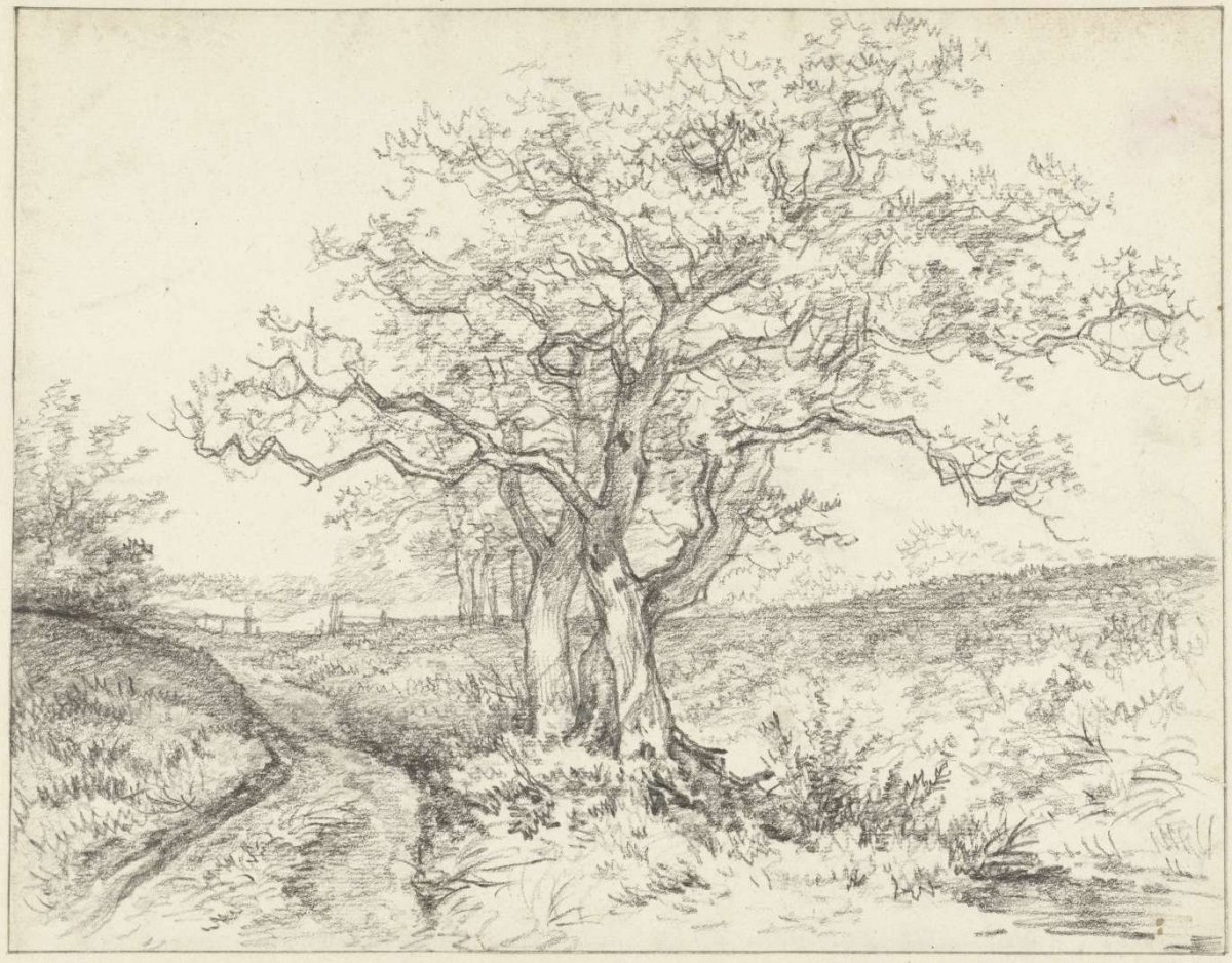 Trees along a road, Jan Hulswit, 1776 - 1822