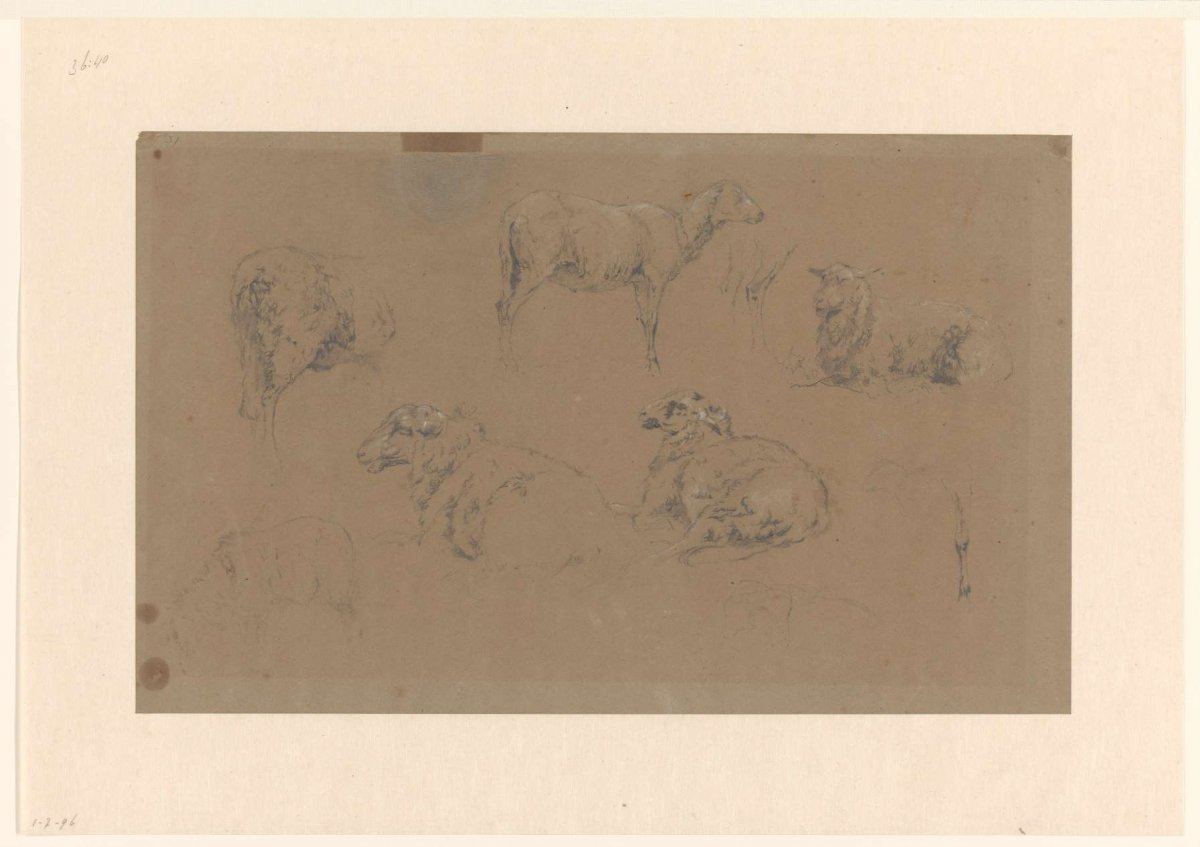 Sketch sheet with studies of sheep, Gerard Bilders, 1848 - 1865