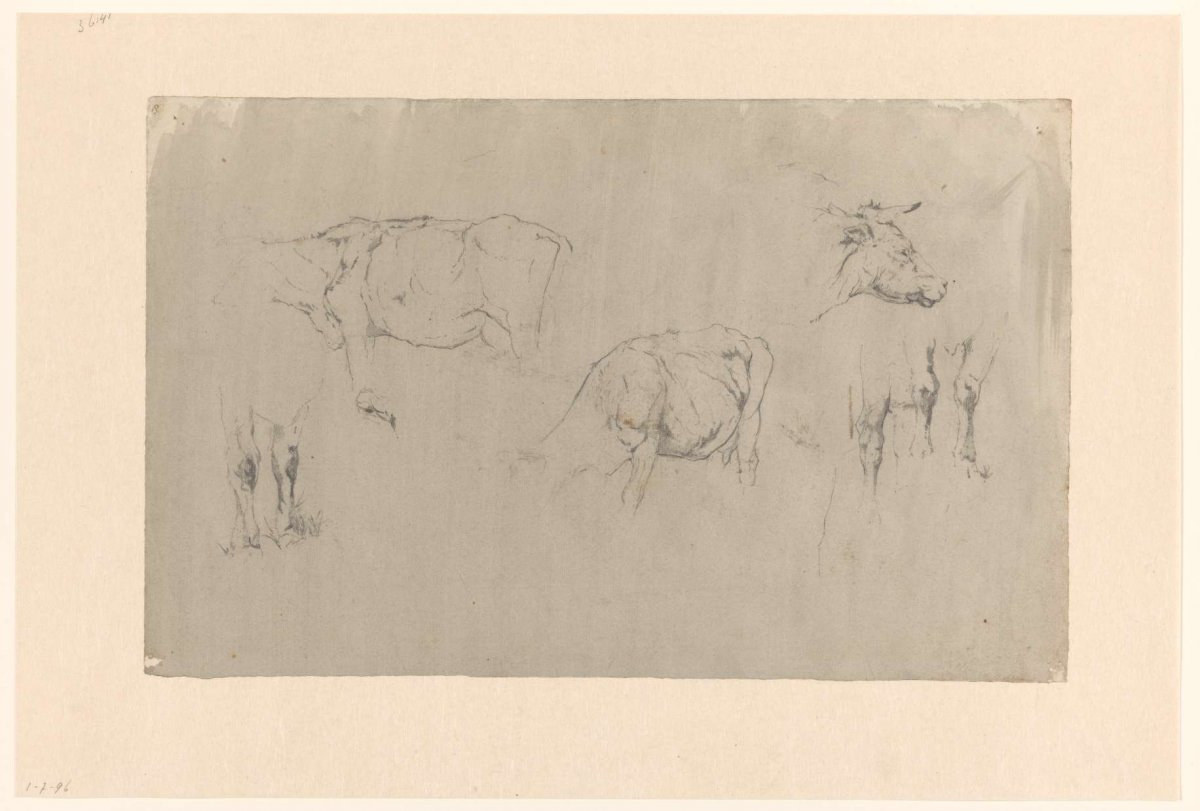 Sketch sheet with studies of cows, Gerard Bilders, 1848 - 1865