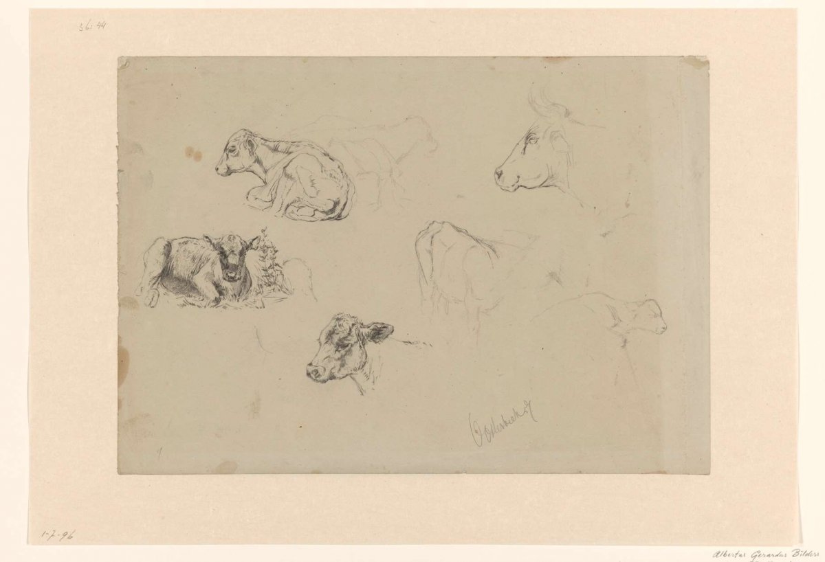 Sketch sheet with studies of cows, Gerard Bilders, 1857